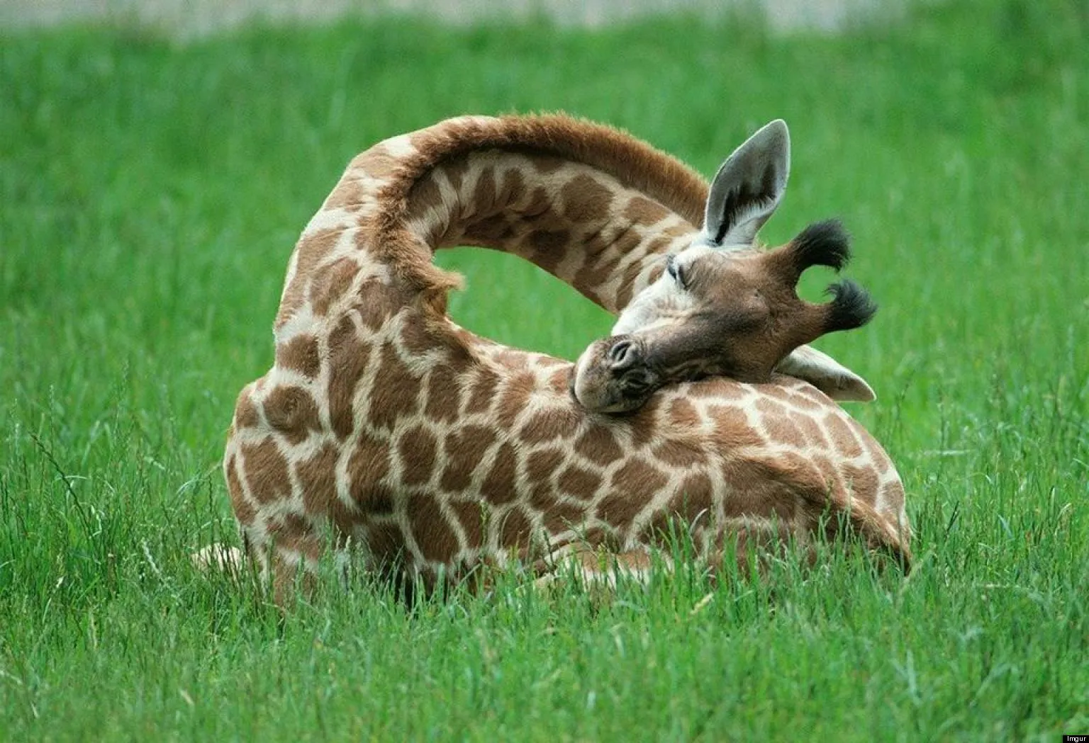 sleepy