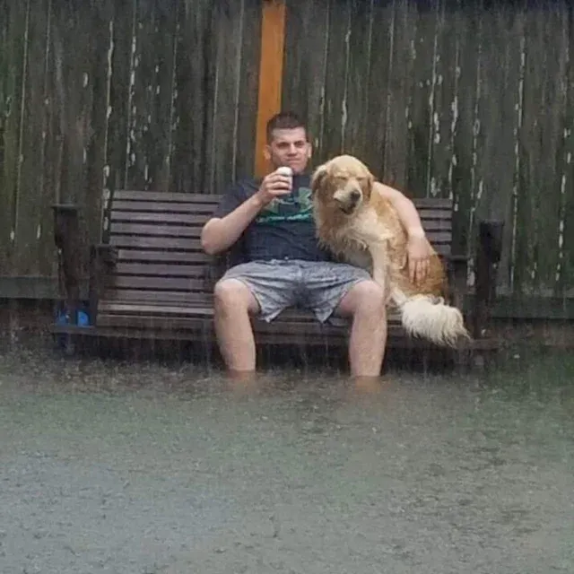 rainy