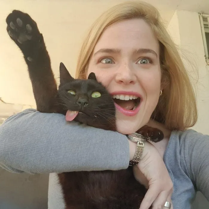 kitty