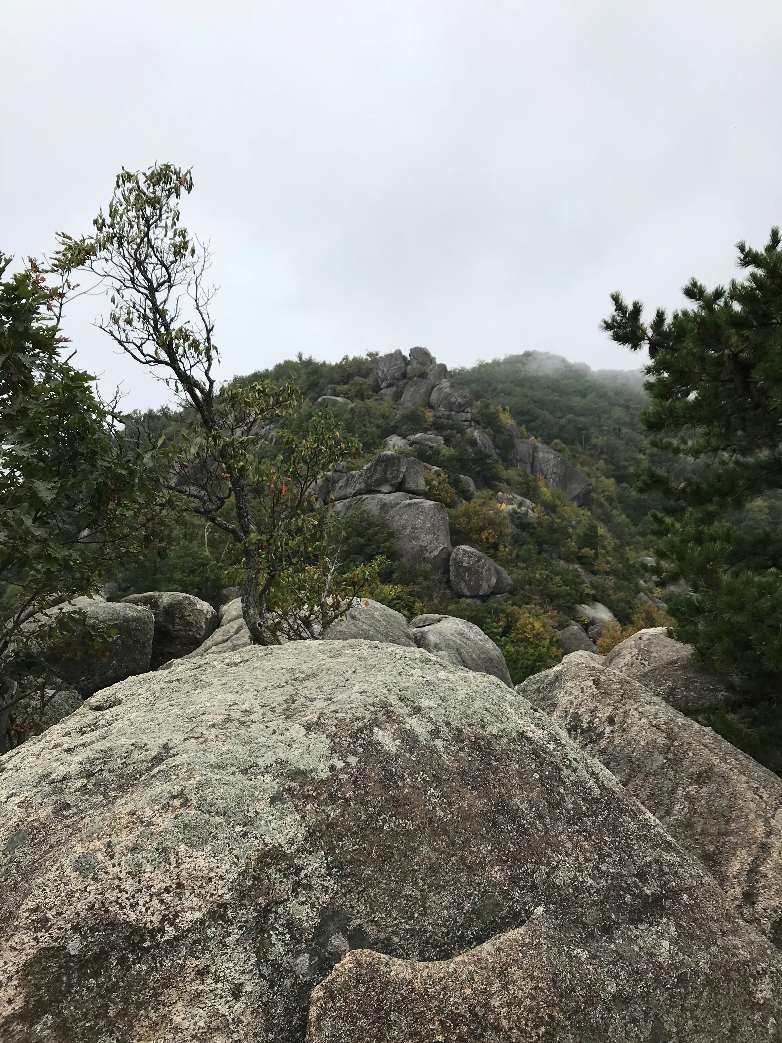 summit
