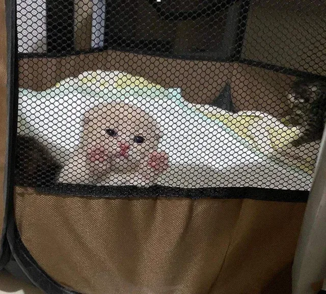 smol