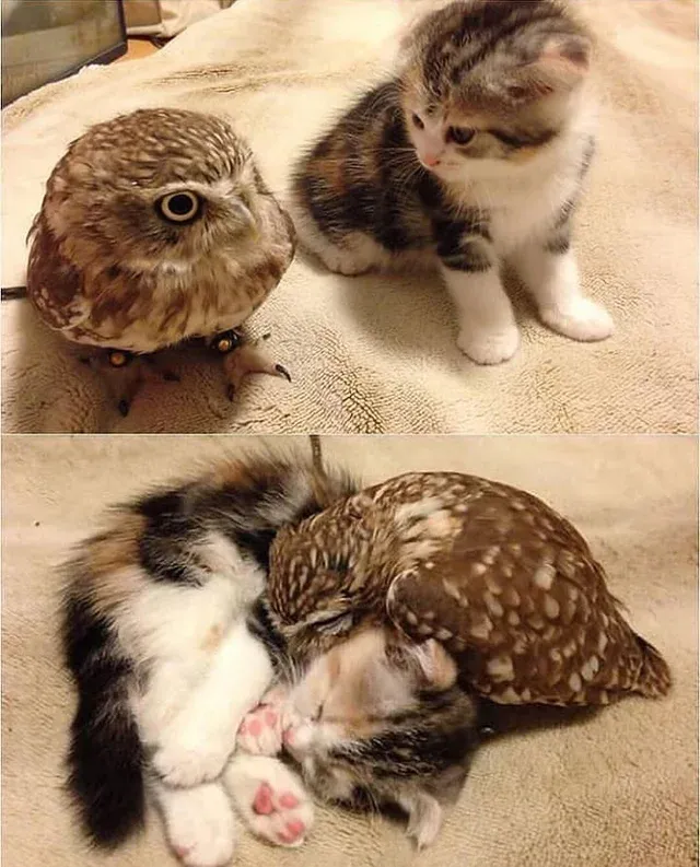baby friends